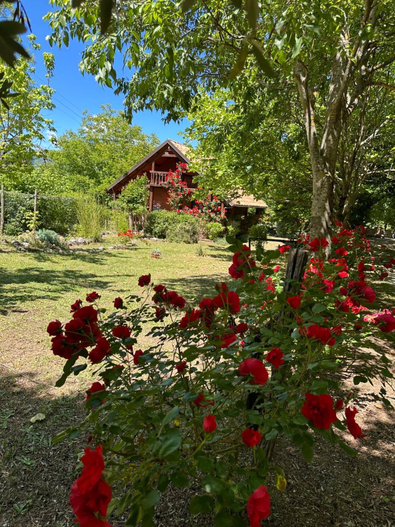 Ciclopark Morano Calabro Villa Exterior photo