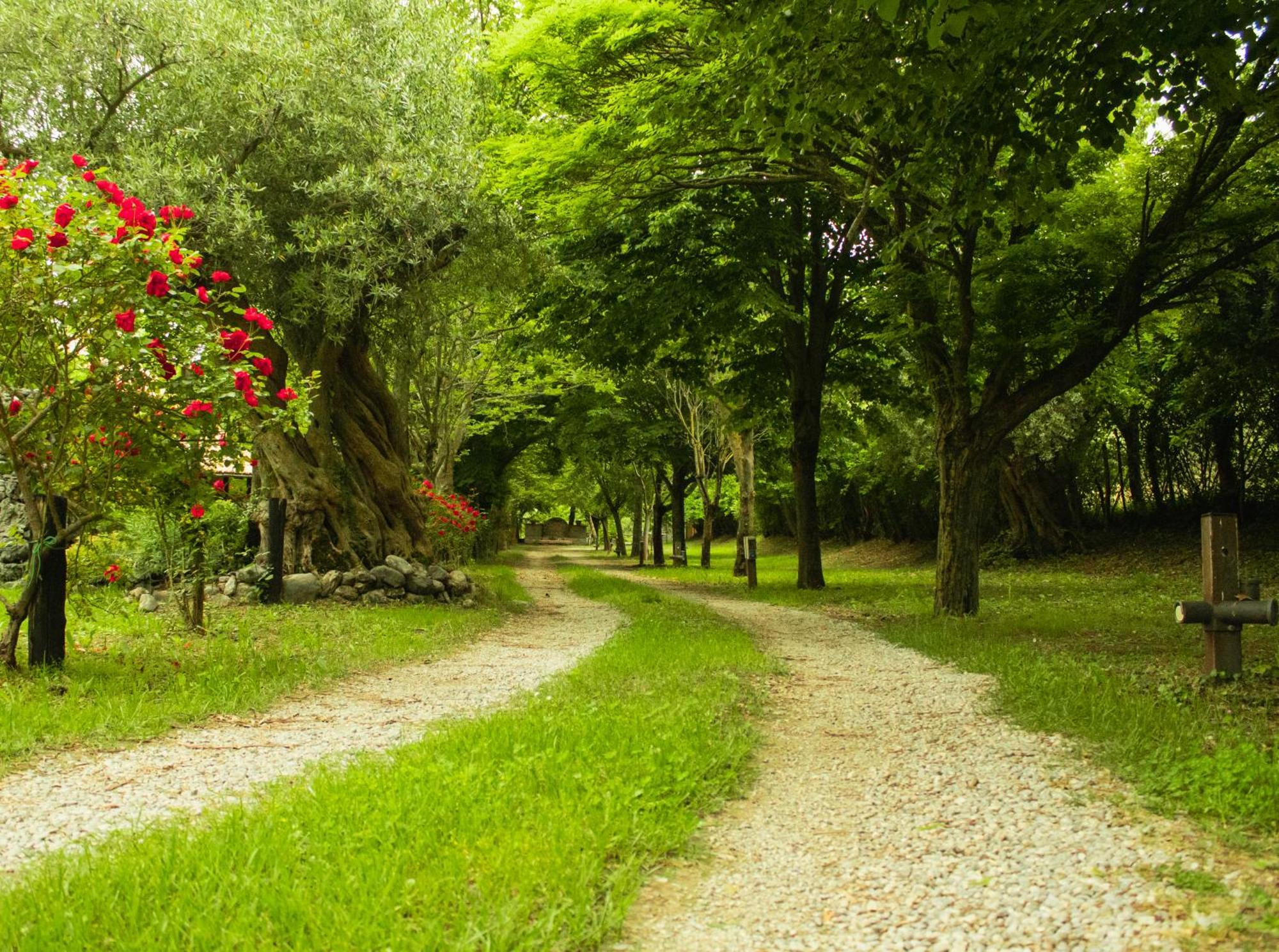 Ciclopark Morano Calabro Villa Exterior photo